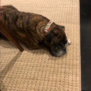 Meet your Posher, Guy